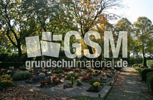 Friedhof-2023.jpg